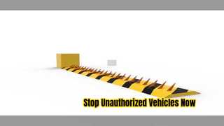 タイヤキラー: 安全なアクセス制御